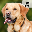 Dog Ringtones APK