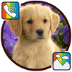 Dog - RINGTONES and WALLPAPERS APK