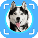 Dog Identifier - Dog Scanner APK