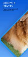 Dog Identifier - Dog Scanner gönderen