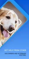 Dog Identifier - Dog Scanner Ekran Görüntüsü 1