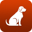 Dog breeds identifier, scanner