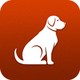identificador de raças de cães ícone