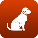 Dog breeds identifier, scanner