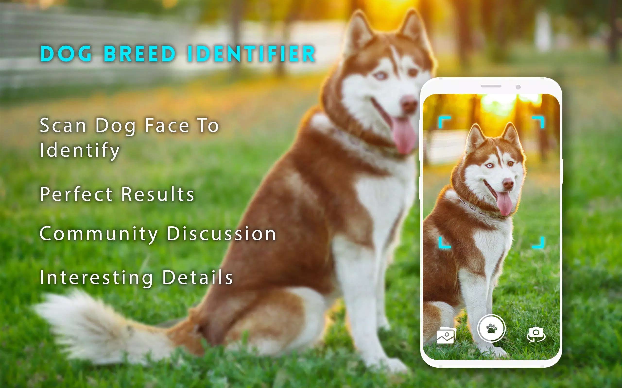 Hunderassen-ID, Scanner-App: Hunde scannen für Android - APK herunterladen