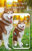 برنامه‌نما Dog breeds identifier, scanner عکس از صفحه