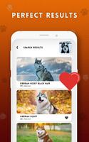 برنامه‌نما Dog breeds identifier, scanner عکس از صفحه