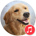 ”Dog sounds
