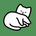 ”고양이 탐구생활