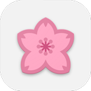 APK Sakura Flowers Falling Live Wallpaper HD