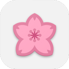 ikon Sakura Flowers Falling Live Wallpaper HD