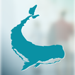 SkyRepair Pro icon