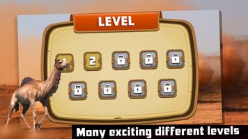 Camel Racing syot layar 2