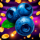 Mega Fruit-APK