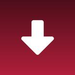 Download Tiktoks NO Watermark