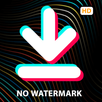 TikSaver - TikTok downloader w APK