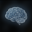Brain Fit - Activat neurons icon