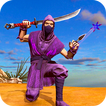 Ninja Samurai Assassins Creed