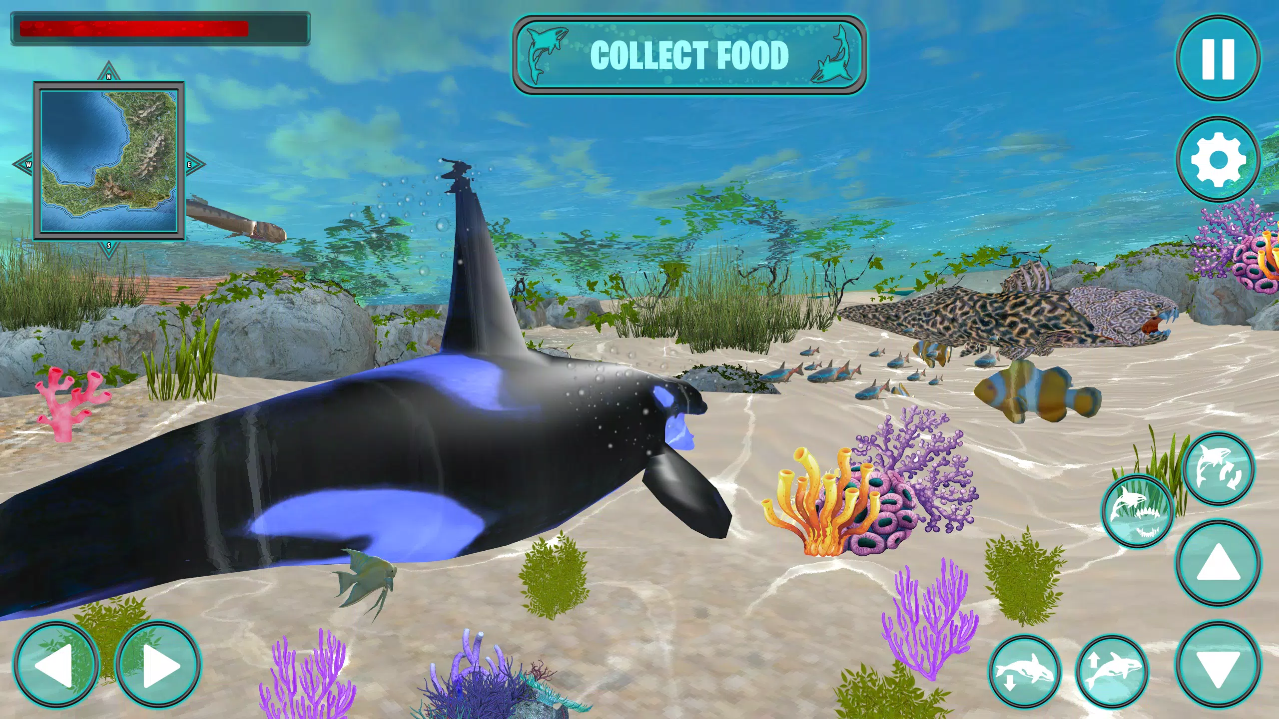 Orca Simulator::Appstore for Android