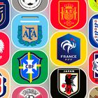 Guess World Cup Logo Quiz 2022 icône