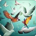 Bird Wallpaper HD