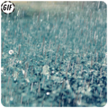Rain GIF
