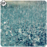 Rain GIF