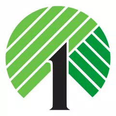 Dollar Tree : Shop online