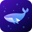 Dolphin VPN - Secure & Stable