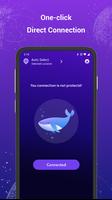 Dolphin VPN-poster