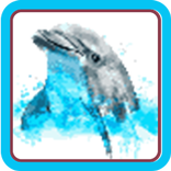 Dolphin Pixel Art Color
