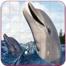 Real Dolphins Game : Jigsaw Pu APK