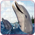 Real Dolphins Game : Jigsaw Pu icône