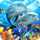 Dolphin Wallpaper icon