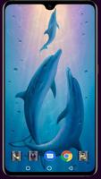 Dolphin Wallpaper screenshot 3