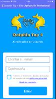 پوستر Dolphin Top4