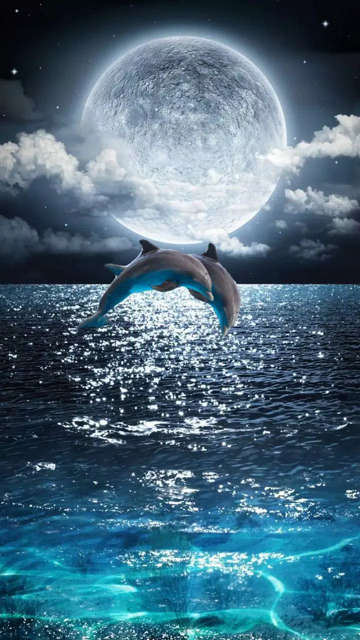 🐬 Cute Dolphin Wallpaper 🐬 APK pour Android Télécharger