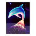 dolphin Wallpaper 4k