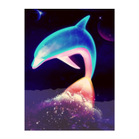 dolphin Wallpaper 4k