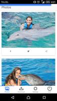 Dolphin Memories screenshot 1