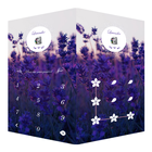 آیکون‌ AppLock Theme Lavender
