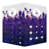AppLock Theme Lavender icon