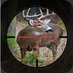 Forest Deer Hunting Classic VIII 2019 Game