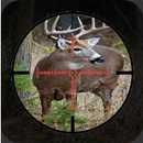 Forest Deer Hunting Classic VIII 2019 Game APK