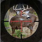 Forest Deer Hunting Classic VIII 2019 Game icon