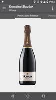 Domaine Slapsak পোস্টার