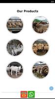 Dorsip Farm syot layar 1