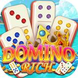 Domino Rich Guide