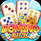 Domino Rich icône