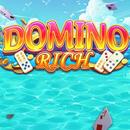 Domino Rich Vip Guide APK